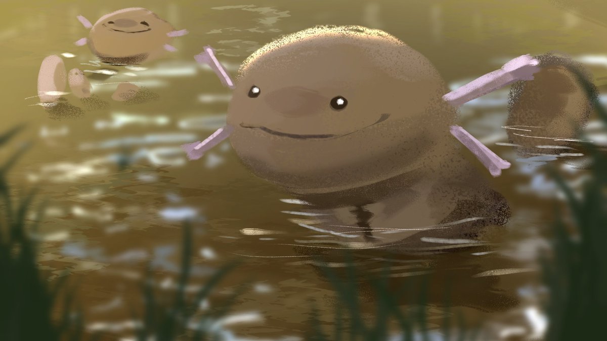 Whoopah  #pokemon #PokemonScarletandviolet #whooper