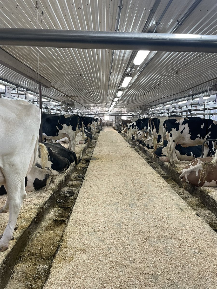 UofGDairy's tweet photo. What an exciting Day 2 of dairy trip! Today we travelled from to Ferme Jacobs in Cap-Santé, QC and Ferme Pierre Boulet in Montmagny, QC. Both tremendous herds with incredible genetics! We are headed to Edmunston, NB for dinner and then Grand Falls,NB for the night #aggiesgoeast https://t.co/NgDbSh60dN