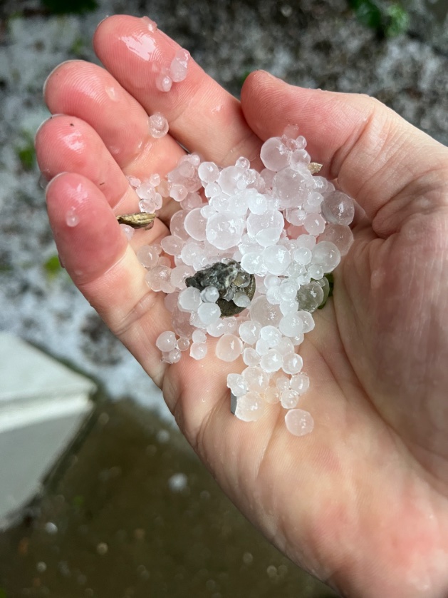 Robby Cochran tweet media