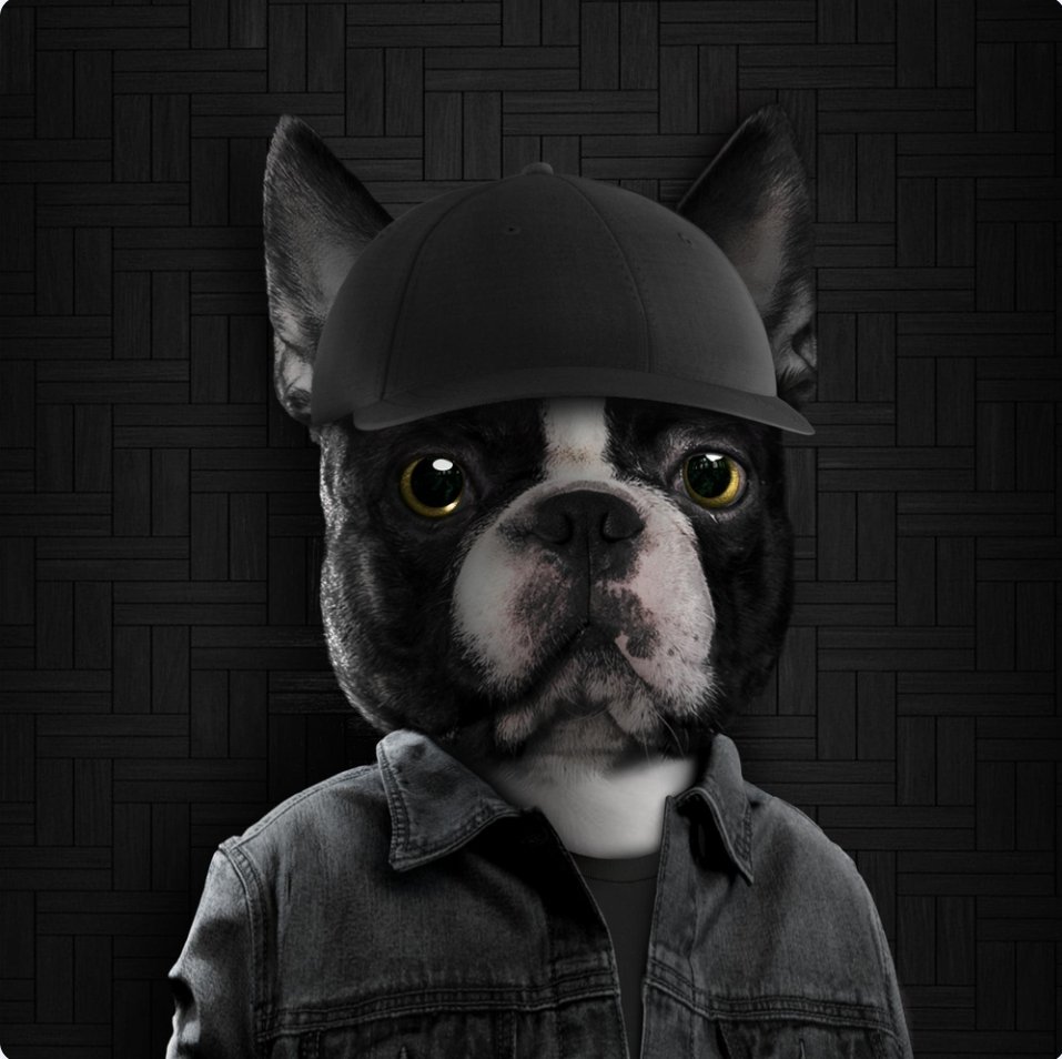 MetaRaffes's tweet photo. 🎉HOLDERS ONLY GIVEAWAY🎉

✅Be a holder of MetaRaffes collection
✅Like &amp; RT
✅Follow @MetaRaffes &amp; @Dogeum_Bsc
✅Join https://t.co/keV6TbD7ar

🏆Win 1x Dogeum NFT
⏲️ Jan 11, 2023

Website: https://t.co/gfW1lXh4ml https://t.co/mhmsGL9PCd