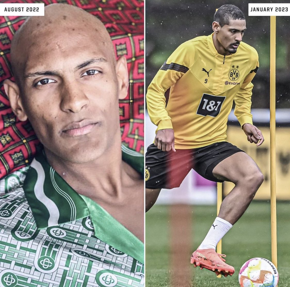 MaestroP🔲🇮🇶 tweet media