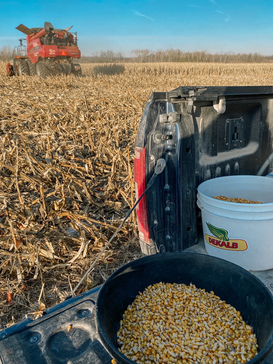 Finished up #harvest22 today 🍻 First corn plot Oct 27 -&gt; last corn plot Jan 10th. Can’t wait to do it all again next (this 😉) year!