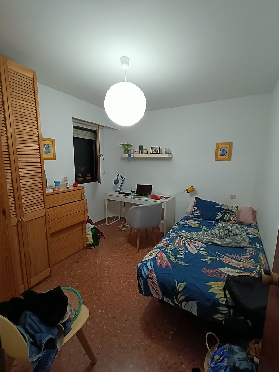 Alejandro Campos tweet media