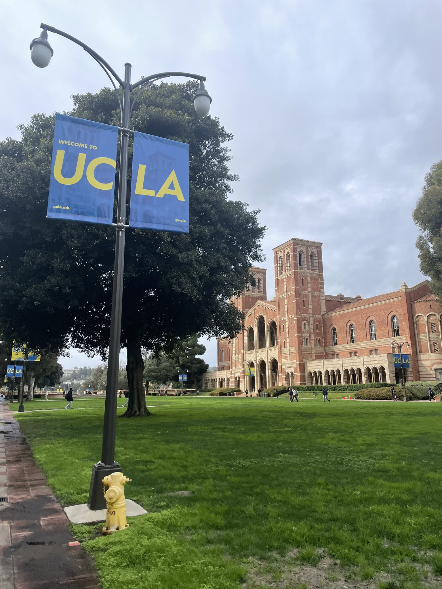 Ucla Winter Quarter Calendar - Micky Susanne