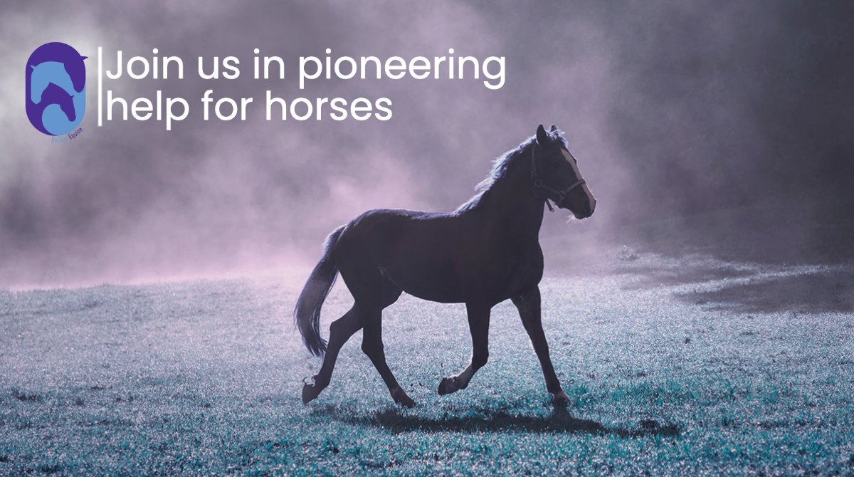 Sending out a big thank you to everyone who has found it in their hearts to contribute to our research efforts. Any amount helps save the life of another horse. Thank you!  #equine #horse 
declue-equine.com/equine-conditi…