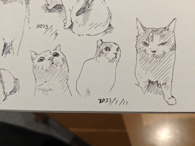 猫にも表情あるねん カキカキ。 