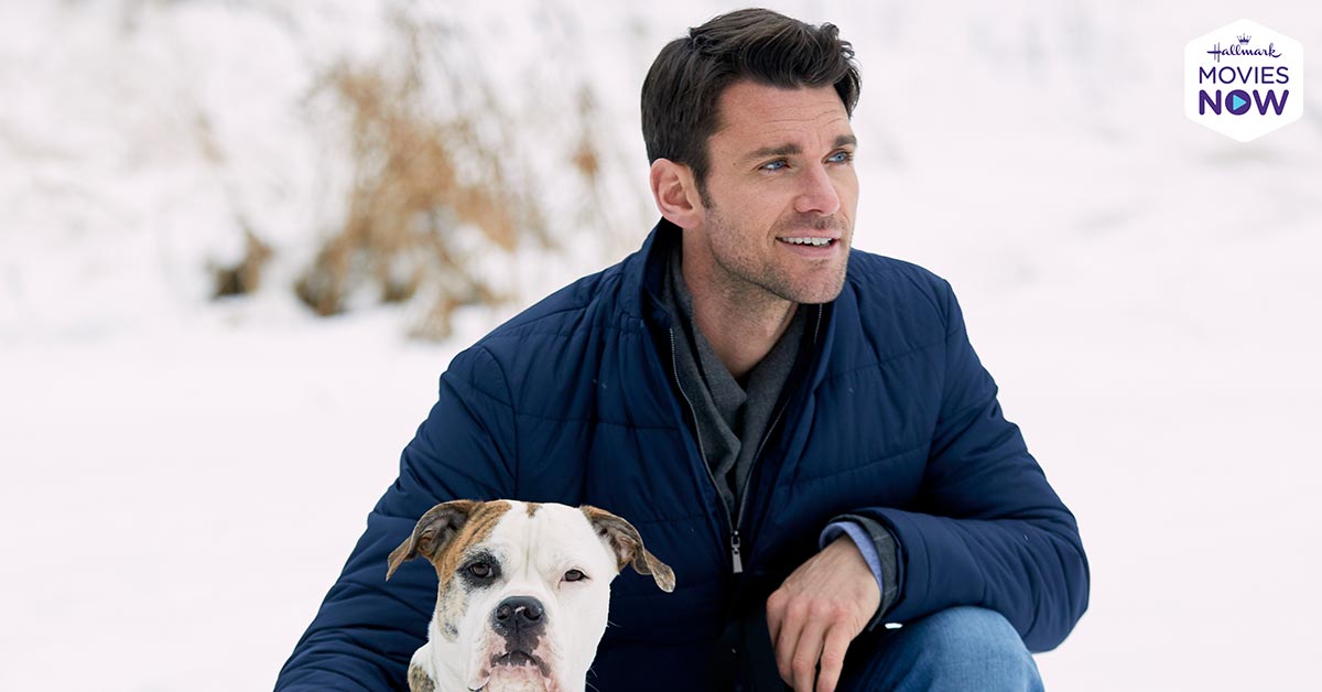 A book tour awaits for Elliot @kevin_mcgarry and his dog Bungy in #WinterLoveStory on #HallmarkMoviesNow!
