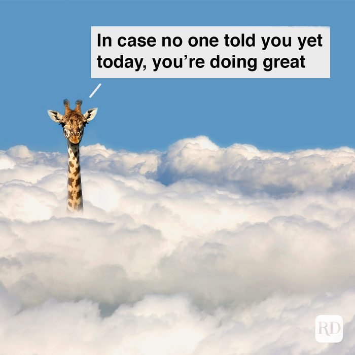 WholesomeMeme's tweet photo. https://t.co/0EfhhhwF63