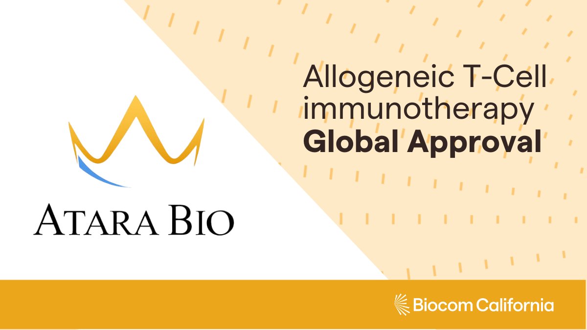 Biocom's tweet photo. Congratulations to our member @Atarabio for receiving European Commission approval as first ever allogeneic T-Cell immunotherapy with #Ebvallo™(#Tabelecleucel). It is the only approved therapy for EU patients with #EBVpositive #PTLD. Learn more here: https://t.co/uCEMNTV1L8 https://t.co/wfrjG9viKc
