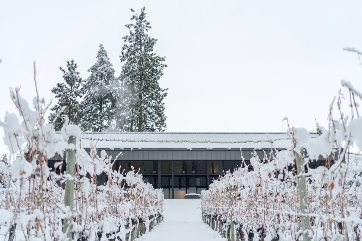 Relax and replenish in our winter tastings that pair supremely smooth wines with spectacular, snowy vineyard views overlooking the Okanagan Lake. Upgrade any tasting experience with exquisite mezze plates prepared by Chef Neil Taylor.

Reserve Now. 
bit.ly/3OvMAbR
