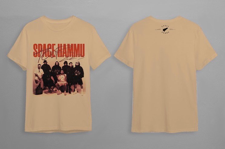 spacehammu tweet media