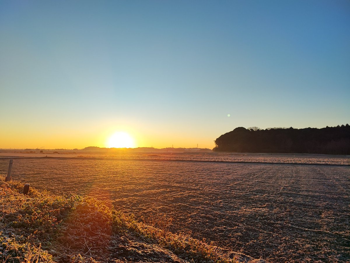 Madam_Fujiko's tweet photo. It's freezing😲
But you see the serene moment.✨

#INASHIKINEST
#Inashiki
#Ibaraki #rural  #Japan 
#茨城県 #稲敷市
#朝日
#sunrise https://t.co/5kp57oz6JY