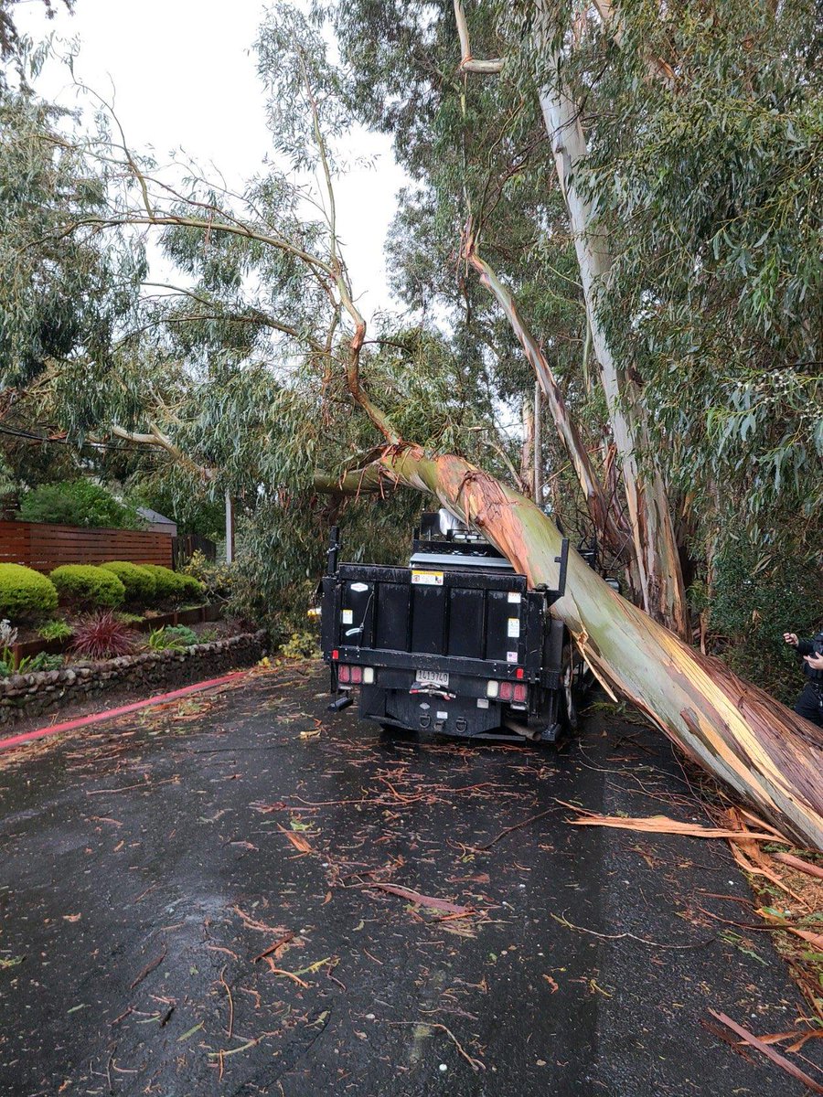 BelmontCA_PWORK's tweet photo. Nice catch! Our colleagues at @BelmontParksRec go above and beyond, using their vehicle to catch falling trees during #CAwx.
Well played, friends, well played.
(Not recommended 😑 outside game) #BayAreaWX @belmontcapolice @mybelmont @CityBelmont https://t.co/qCqbUjGSZv