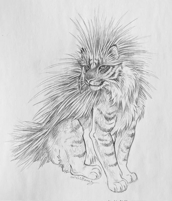 Porcupine Tiger 🐯
First drawing in the new sketchbook! 