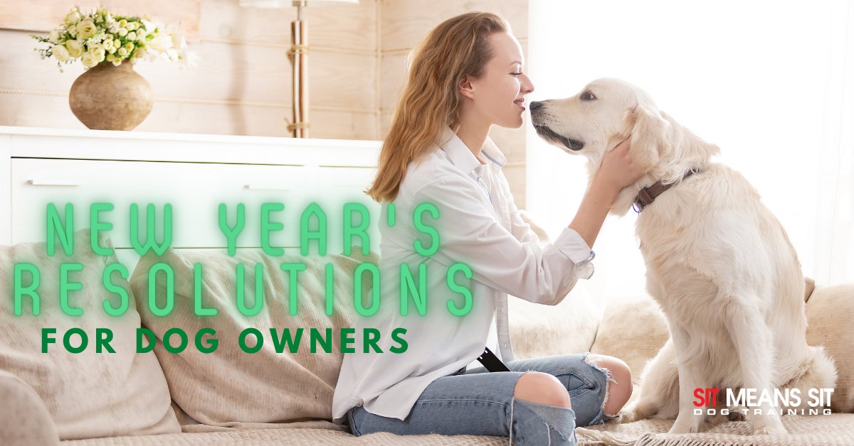 SitMeansSit_MA's tweet photo. New Year’s Resolutions for Dog Owners | https://t.co/QF94LqS3Or https://t.co/U35BJ8SU9b