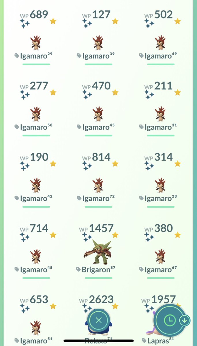 zickibert's tweet photo. Happy 🥰 #ShinyPokemon #shiny #pokemongo #pokemon https://t.co/Jyvj8KArnS
