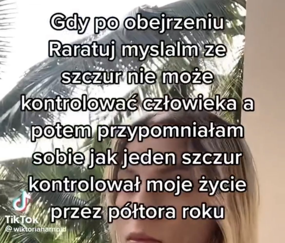 alko.marko tweet media