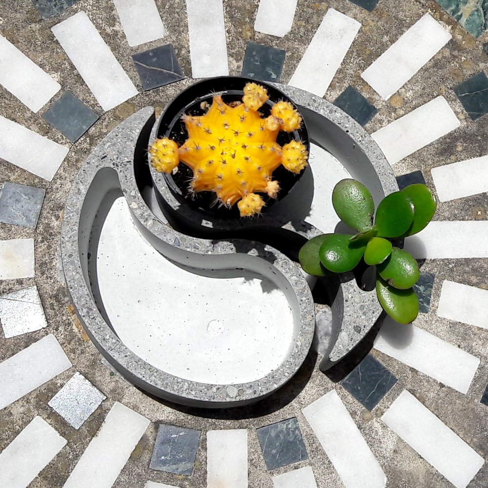 QuimeraVe's tweet photo. … Macetas de concreto de Quimera Creativa…
#Handmade in #Concrete by #QuimeraCreativa in #Venezuela
📱 Whatsapp+58.412.328.28.30 (just messages)
#Gift #Diseño #BetonDesigne #Crafts #Pots #Suculents #Cactus #Macetas #YinYang #Dodecahedro #DiseñoInterior https://t.co/my8AKCWXVL