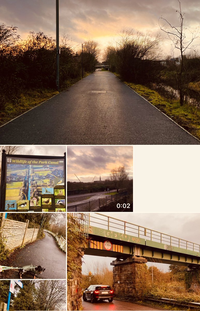 Limerick Ryan tweet media