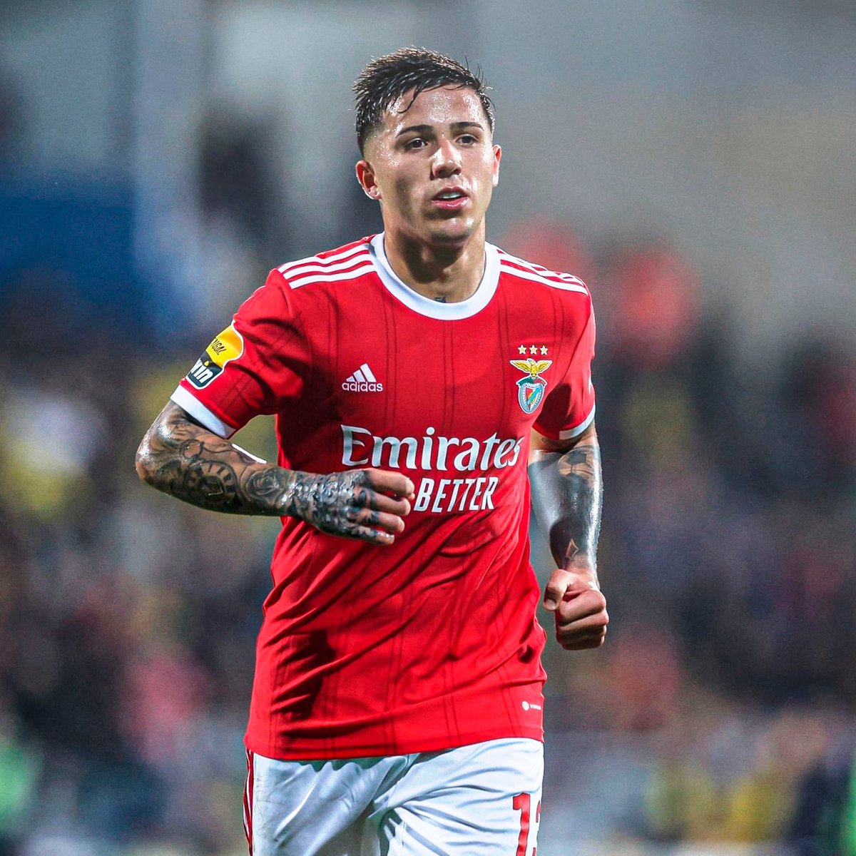 JuannDis's tweet photo. Gol de Enzo Fernández. Le queda diminuta la Liga Portugal. La facilidad para generar peligro con un pase filtrado, o incluso con gol. Tiene las cosas clarísimas a sus 21 años. Dominador del mediocampo. Los grandes equipos se están perdiendo un talentazo. https://t.co/ENperKx5Yj