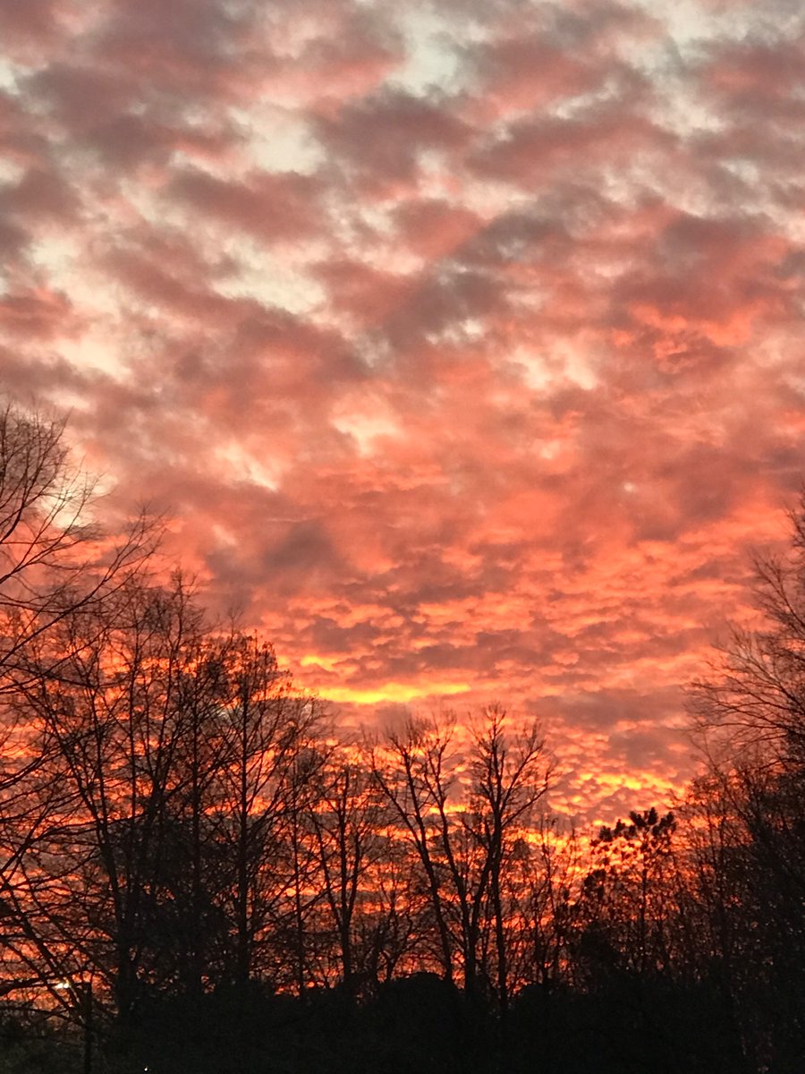 Jonatha73828435's tweet image. #GetIntoTheOutThere