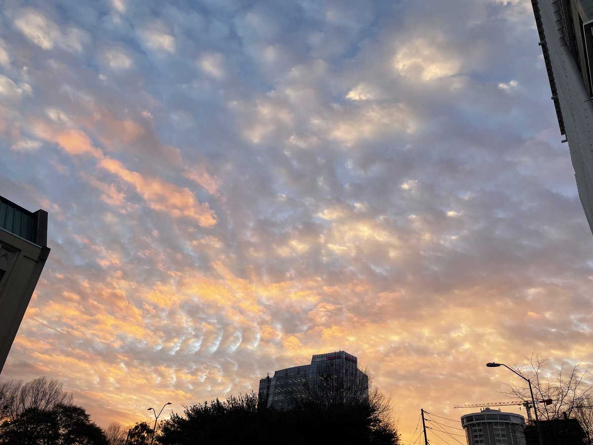 A beautiful evening in Raleigh. Could be a little warmer but the sky can’t be beat. #sunsetswithStein