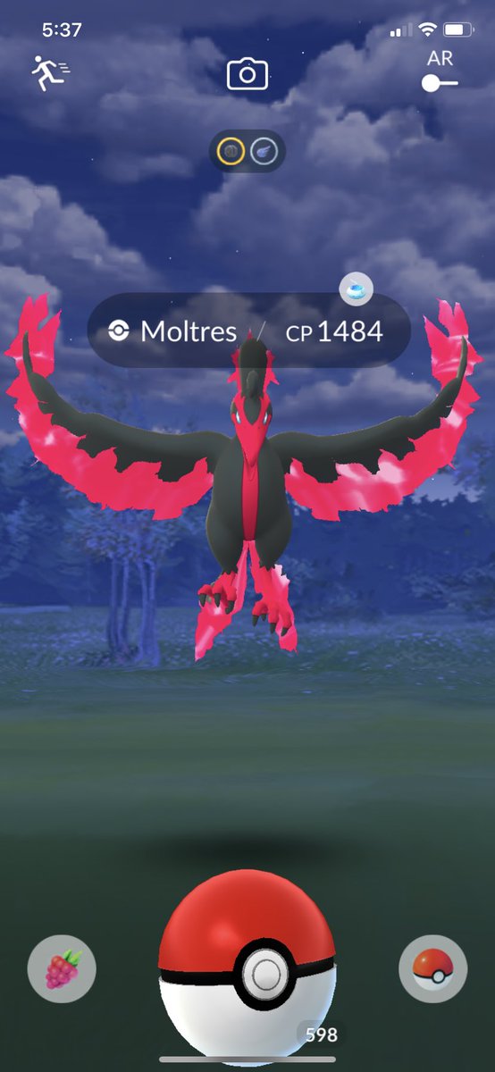 Lexxy287's tweet photo. And would you have guessed he ran away?  Sad sad day 🙂 

#PokemonGOfriends #PokemonGO #PokemonGOApp #pokemon #PokemonUNITE https://t.co/LCSavH7UC0