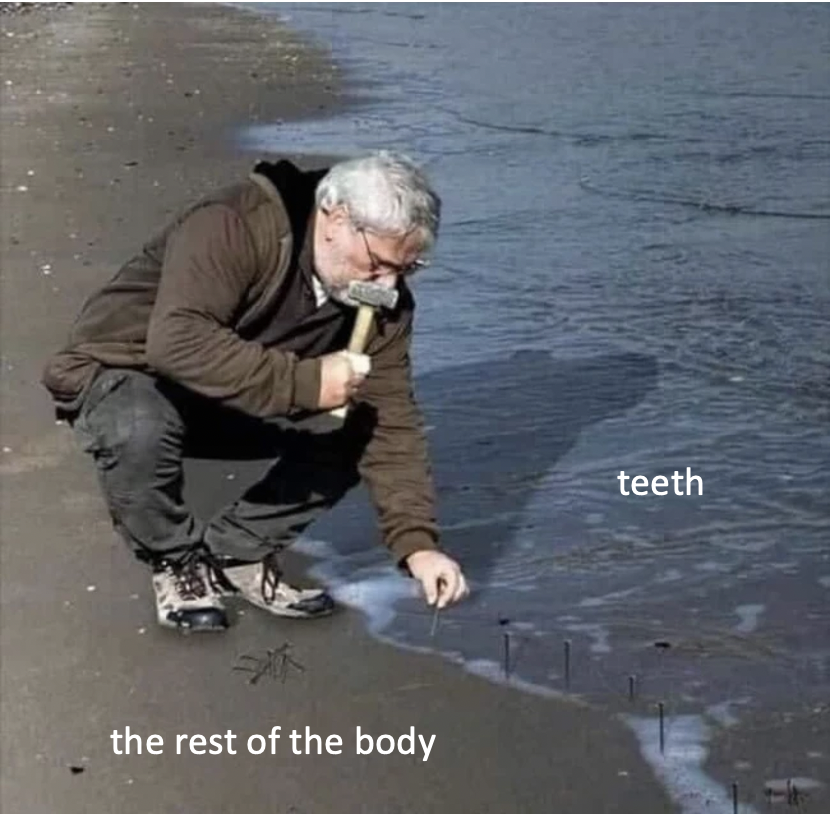 Medical schools making their curriculum