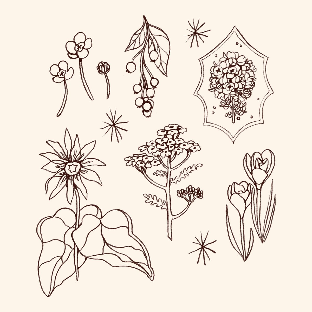 littletoadart's tweet photo. It’s #PortfolioDay! Hi! I’m Kira, a sewist and illustrator who loves to draw plants, frogs, and fuzzy critters.

All my links can be found here:
🌱 https://t.co/0nR9kchznf https://t.co/8n0BNAhpUQ