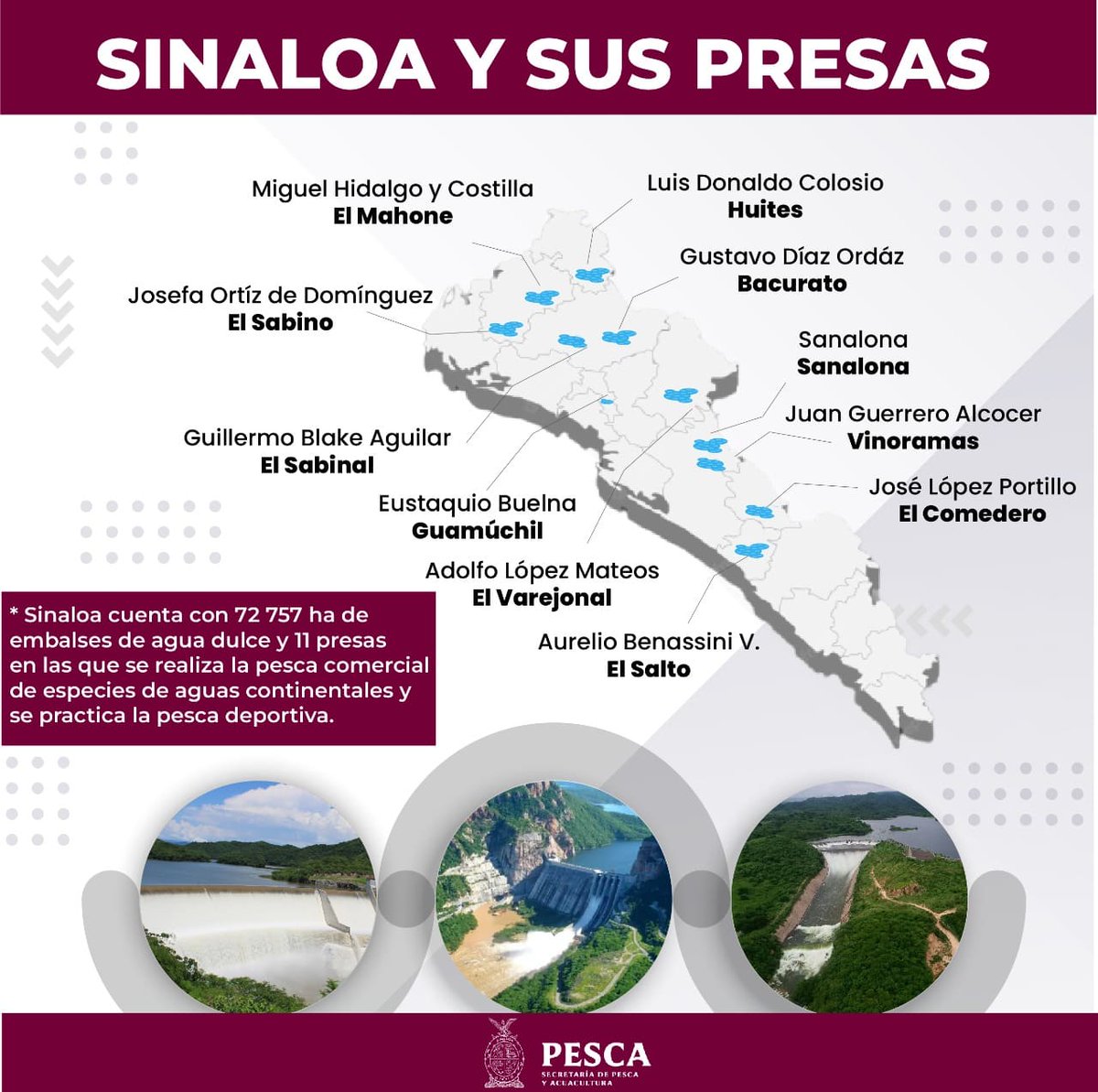 spyasinaloa's tweet photo. ¿Sabías qué..? 🤔
Sinaloa cuenta con 72 757 ha de embalses de agua dulce y 11 Presas en las que se realiza la pesca comercial de especies de aguas continentales y se practica la pesca deportiva. 🎣
#Pesca #SPyA 🐟 https://t.co/AEamPuIbPa
