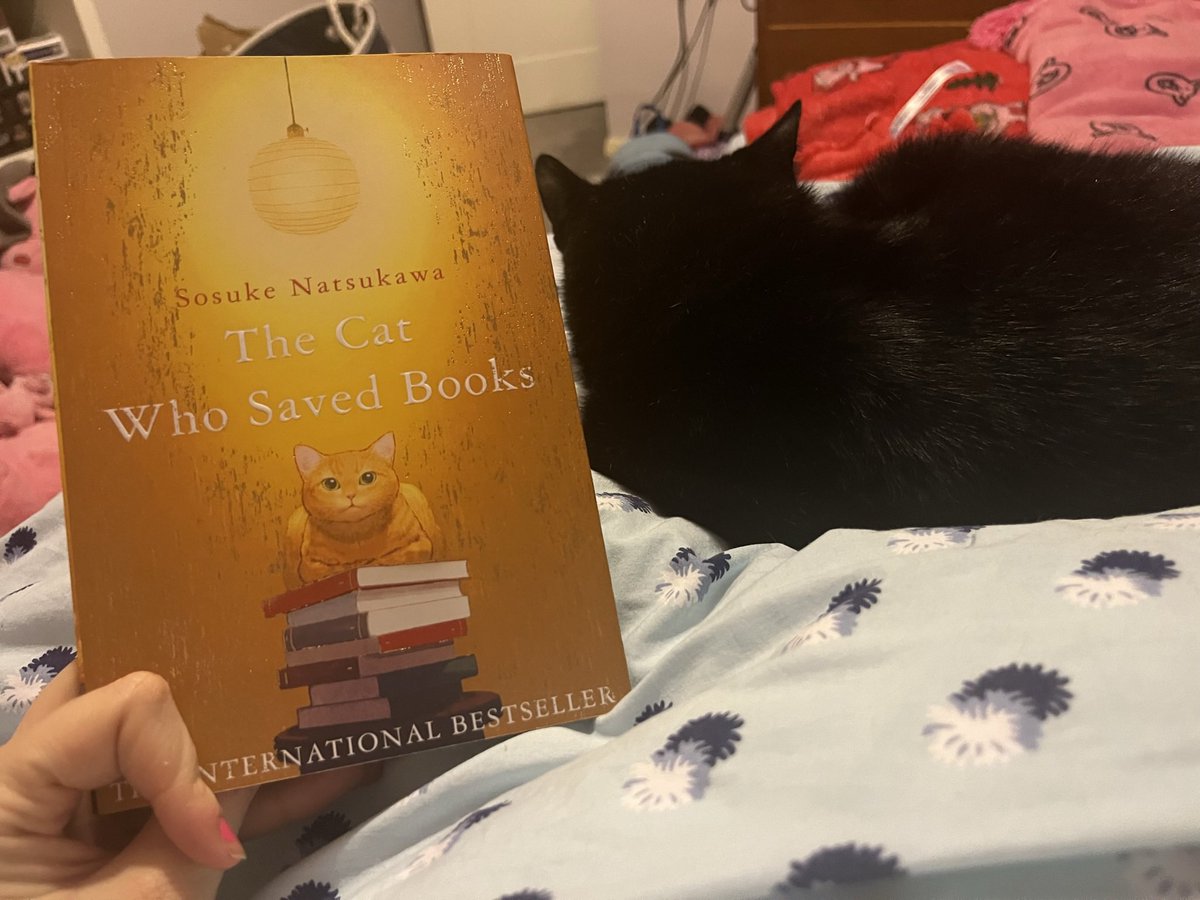 This book felt appropriate to read whilst I have this cute little one on my lap. 🥺🥰🐈‍⬛

#CatsofTwitter #Books #Reading #TheCatWhoSavedBooks #SosukeNatsukawa #BlackCat #BlackCats