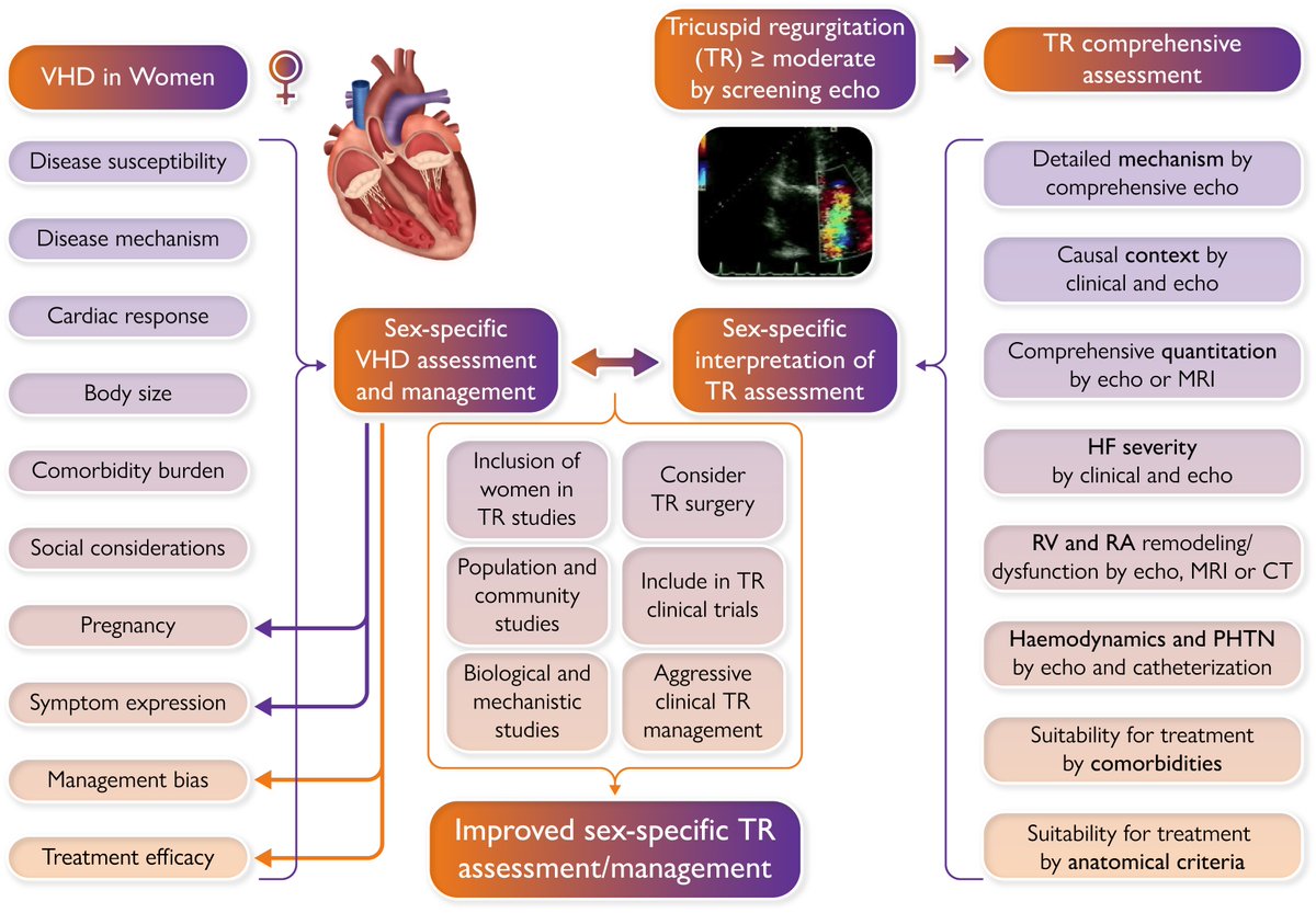 Valvular heart diseases in women: facts vs. incantations...

academic.oup.com/eurheartj/adva…

#VHD #women #gender #TR #cardiotwitter <a href="/escardio/">European Society of Cardiology</a> <a href="/ESC_Journals/">European Society of Cardiology Journals</a>