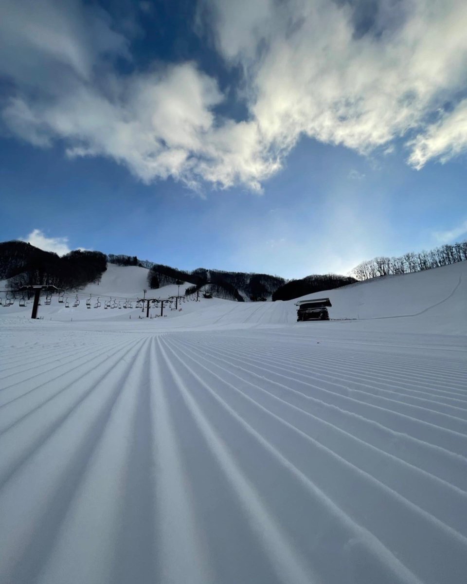 今日は水曜日メンズデー！

食事券付きリフト1日券が

2,500円

今日の戸倉は男祭りだ