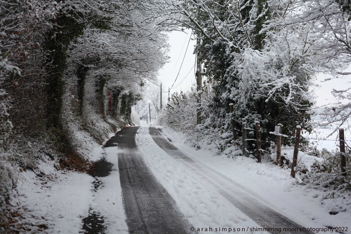 ShimmeringMoonPhoto tweet media