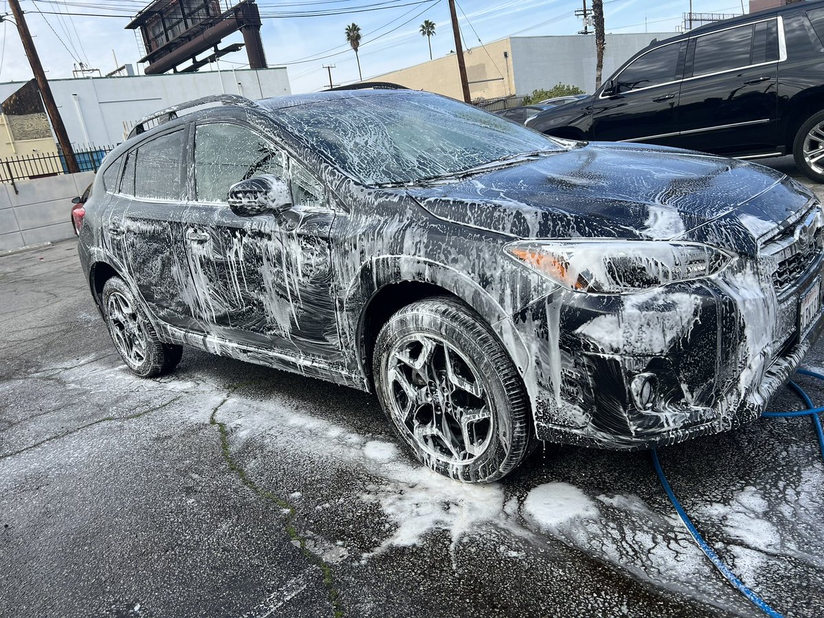 WDateiling's tweet image. 