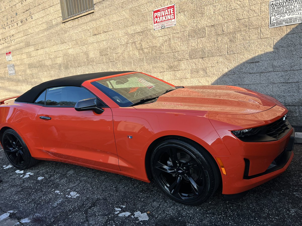 WDateiling's tweet image. 