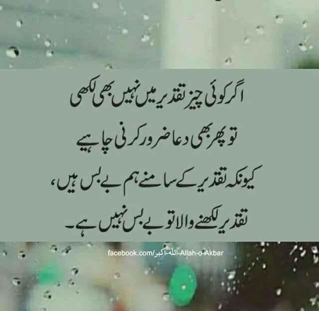 اسلام علیکم!!
صبح بخیر۔۔۔۔🌄🌷🦋
