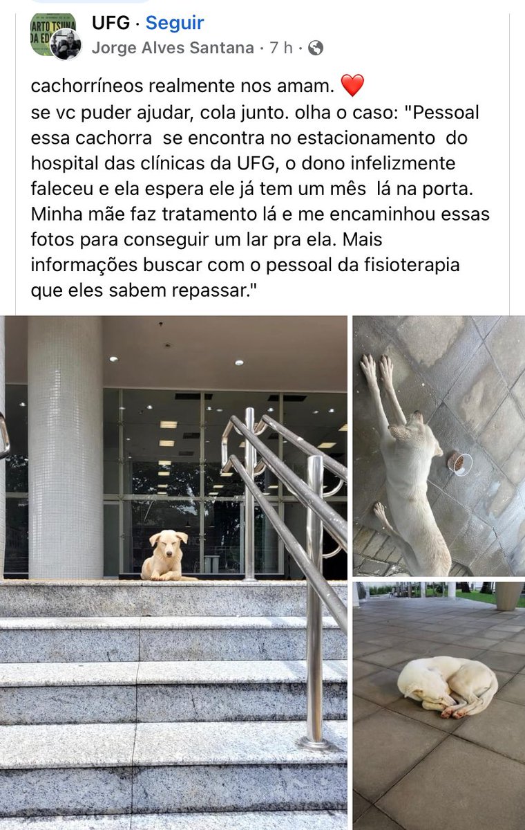 gente pior que era verdade 😭 meu deus ajudem a achar uma casa pra ela