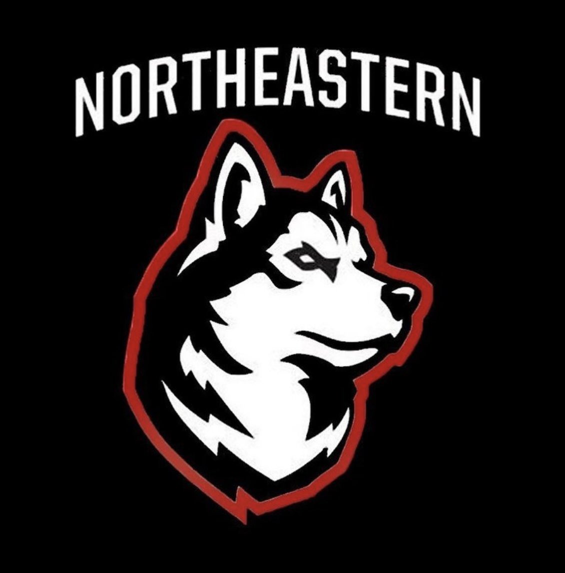 Extremely proud and excited to announce my commitment to play Division 1 hockey at Northeastern University. I would like to thank my family, friends, coaches and teammates for their endless support along the way! #HowlinHuskies🐾
