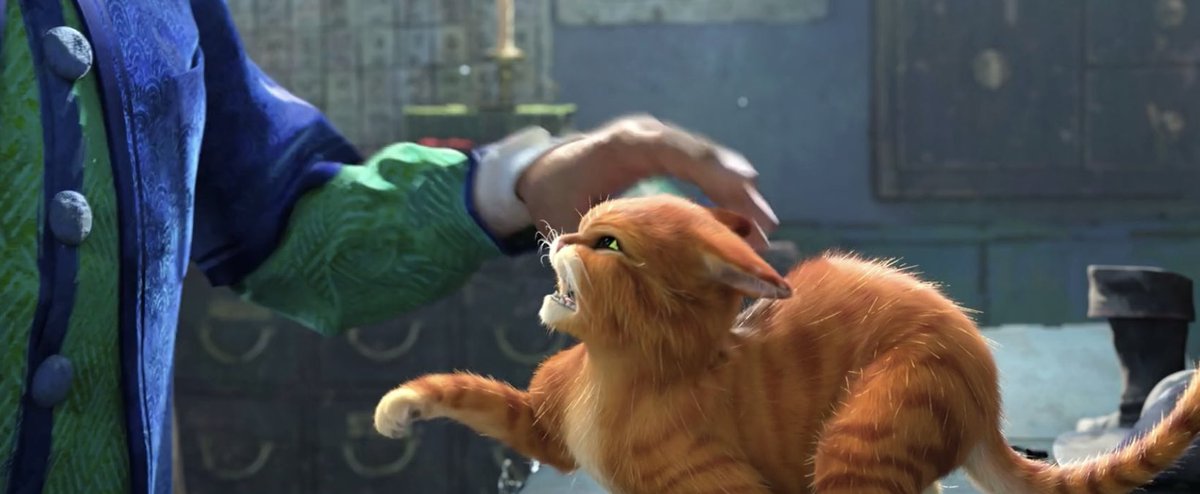 SHADOWlZED's tweet photo. WHEN HE KITTY!!!! https://t.co/BcXsfIg0d0