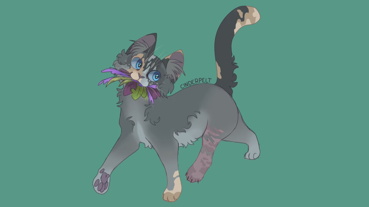 _Moved_forever_'s tweet photo. Little cinderpelt design :)) I loved the idea of drawing her as a diluted calico cat !
#warriorcats #cinderpelt https://t.co/pFzS6CPbN8