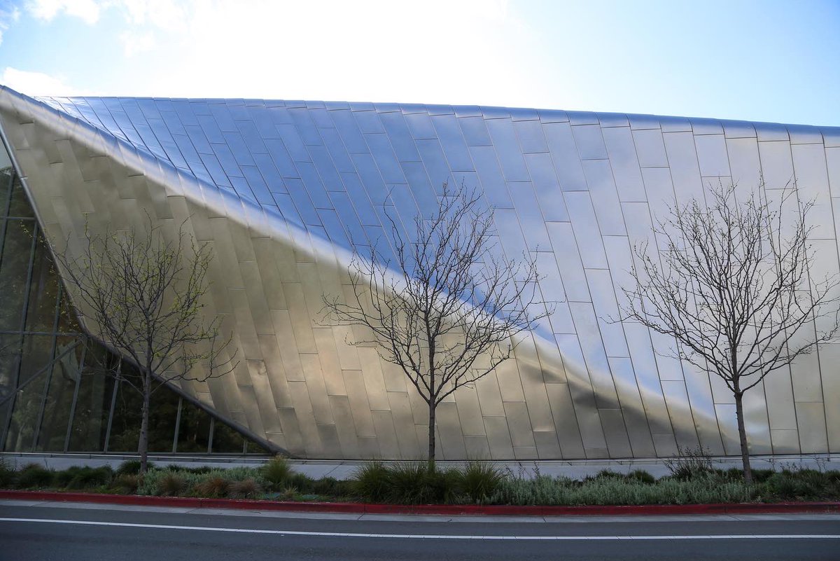 .@BAMPFA in @dwntwnberkeley has an incredible film archive in addition to its world class art exhibitions. The curated film programming is excellent, especially good during this rainy weather. ✌️ VisitBerkeley.com 🖼️+🎥 bampfa.org #berkeley @VisitCA