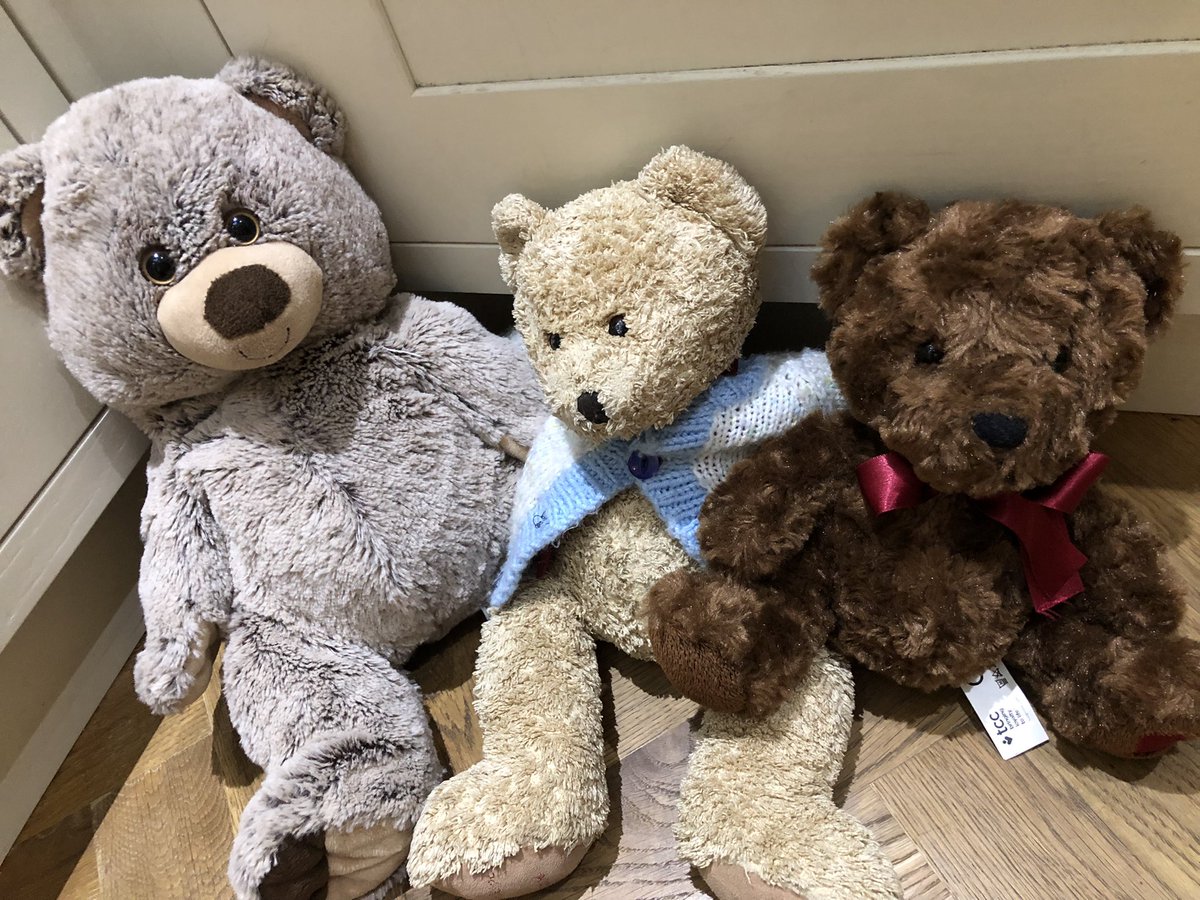 Sam_thewardrobe's tweet photo. When Spencer bear came for a sleepover @TarporleyCE #squirrels https://t.co/jKRwADm5VK