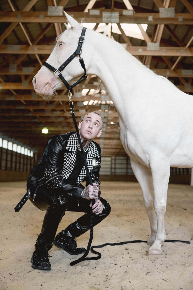 iamblackbear's tweet image. bear for @FAULTMagazine