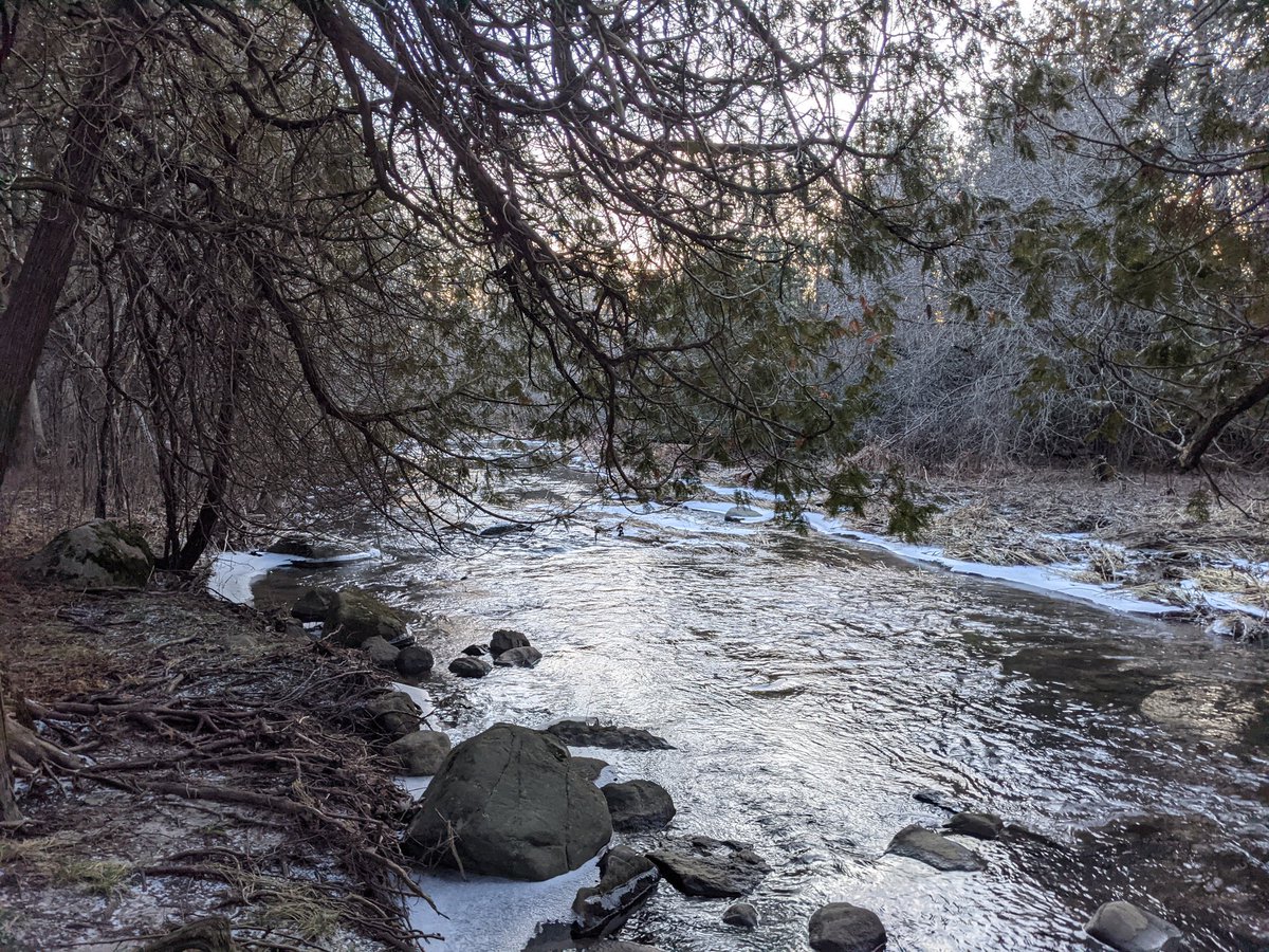 FelixandFido's tweet photo. Exploring the icy, snowy riverside today. Spending time outdoors in nature is so refreshing. What's the weather like where you live?

#appreciatingnature #furbabiesarethebest #walkswithmydog #felixandfido #vetmedsolutions #VetTechLife https://t.co/WDDasfxwGD