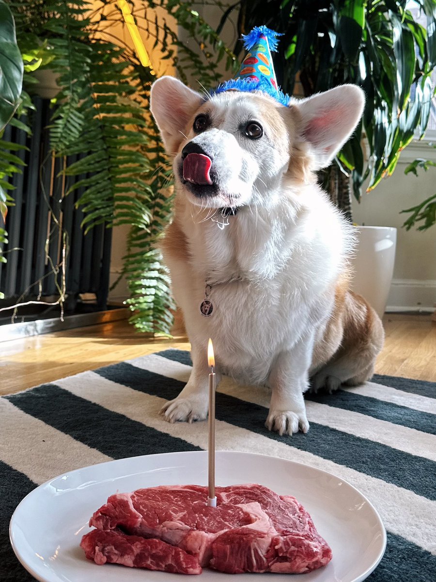 Martin Petracca tweet media