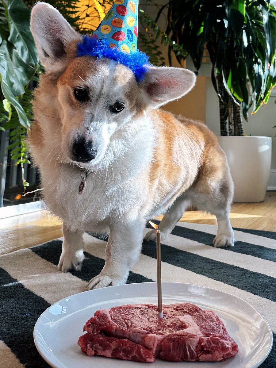 Martin Petracca tweet media