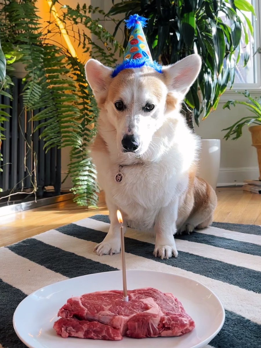 Martin Petracca tweet media