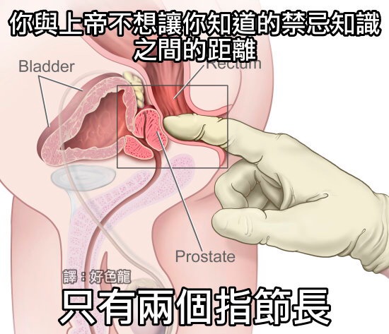 随缘 (@essence1ma) on Twitter photo 