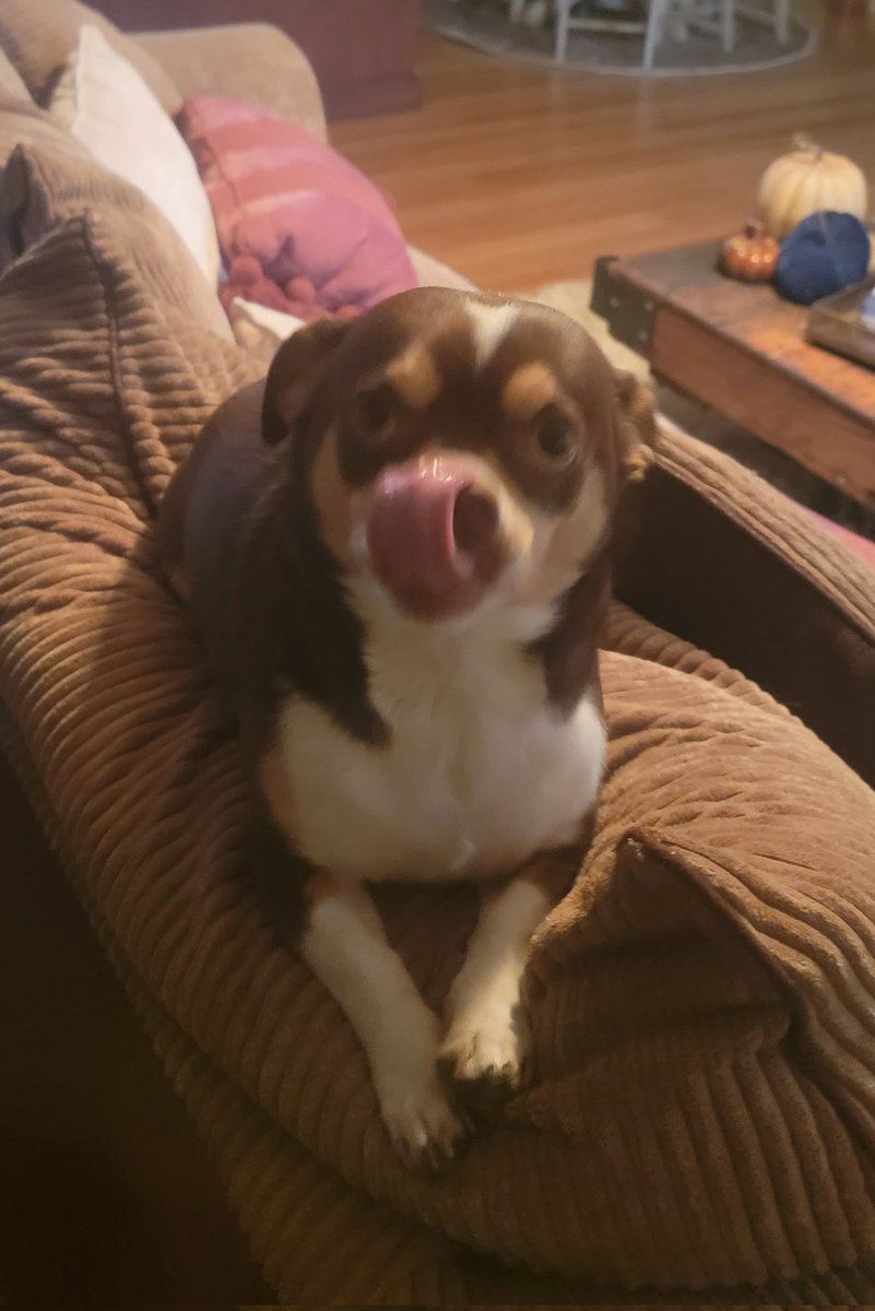 #ToungeOutTuesday